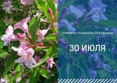 Приметы на 30 июля: что можно и нельзя делать в день Марины Приметы на 30 июля: что можно и нельзя делать в день Марины
