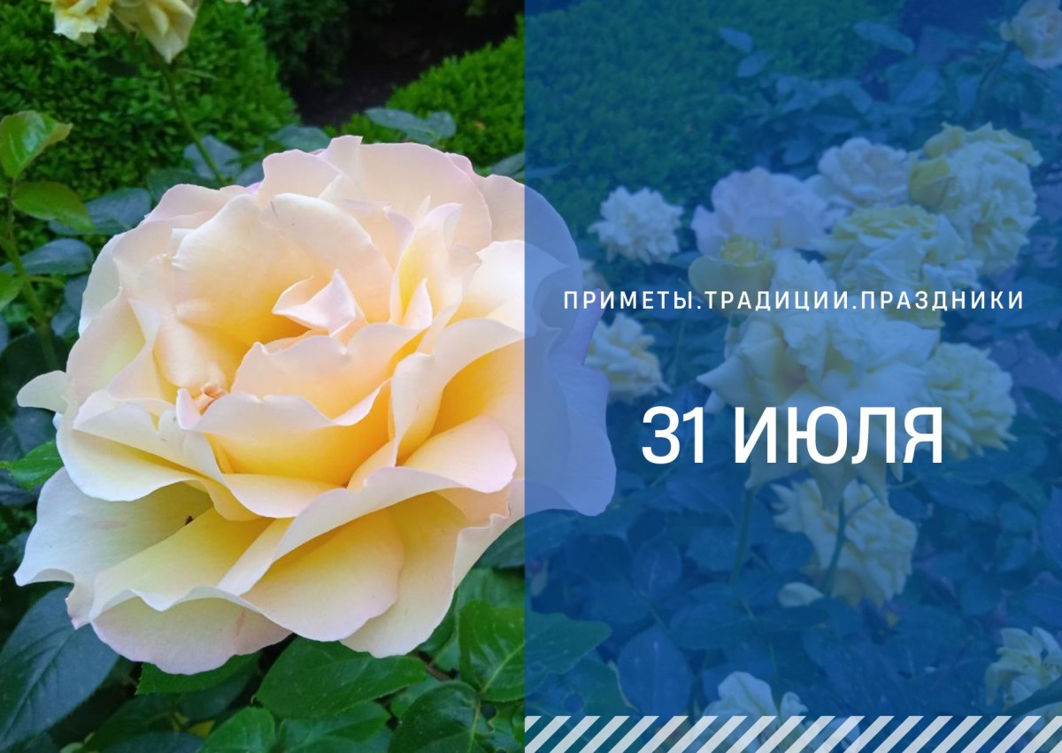Приметы на 31 июля: что можно и нельзя делать в Омельянов день Приметы на 31 июля: что можно и нельзя делать в Омельянов день