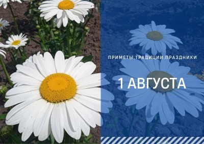 Приметы на 1 августа: что можно и нельзя делать в Макринин день