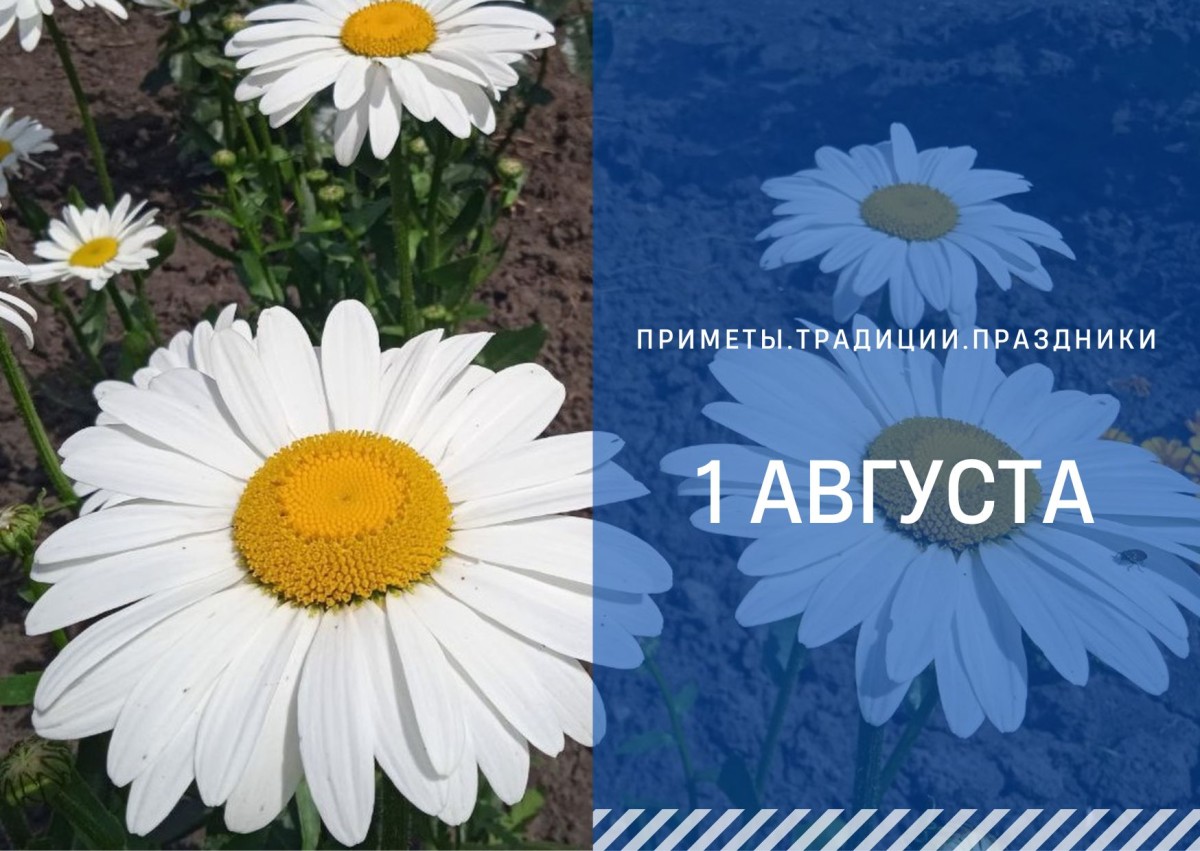 Приметы на 1 августа: что можно и нельзя делать в Макринин день Приметы на 1 августа: что можно и нельзя делать в Макринин день