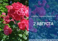Приметы на 2 августа: что можно и нельзя делать в Ильин день Приметы на 2 августа: что можно и нельзя делать в Ильин день