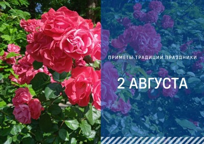 Приметы на 2 августа: что можно и нельзя делать в Ильин день