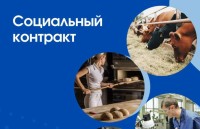 Свыше 370 соцконтрактов заключили в Ставрополе с начала года Свыше 370 соцконтрактов заключили в Ставрополе с начала года