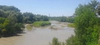 В Невинномысске готовятся укреплять берега Кубани В Невинномысске готовятся укреплять берега Кубани