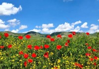 Ставропольский край формирует полноценную экосистему агротуризма Ставропольский край формирует полноценную экосистему агротуризма