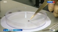 На Ставрополье продолжают борьбу с клещами На Ставрополье продолжают борьбу с клещами