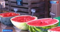Сезон арбузов и дынь открыт: Роспотребнадзор напомнил правила безопасной покупки