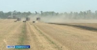 Ставропольские аграрии собрали уже 8,8 млн тонн зерна