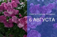 Приметы на 6 августа: почему этот день благоприятен для сбора ягод
