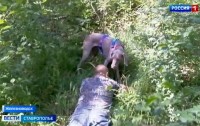 Кинологи отряда «ЛизаАлерт» провели тренировку у горы Бештау
