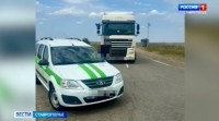 Владелица фуры на Ставрополье накопила долг по штрафам свыше полумиллиона рублей