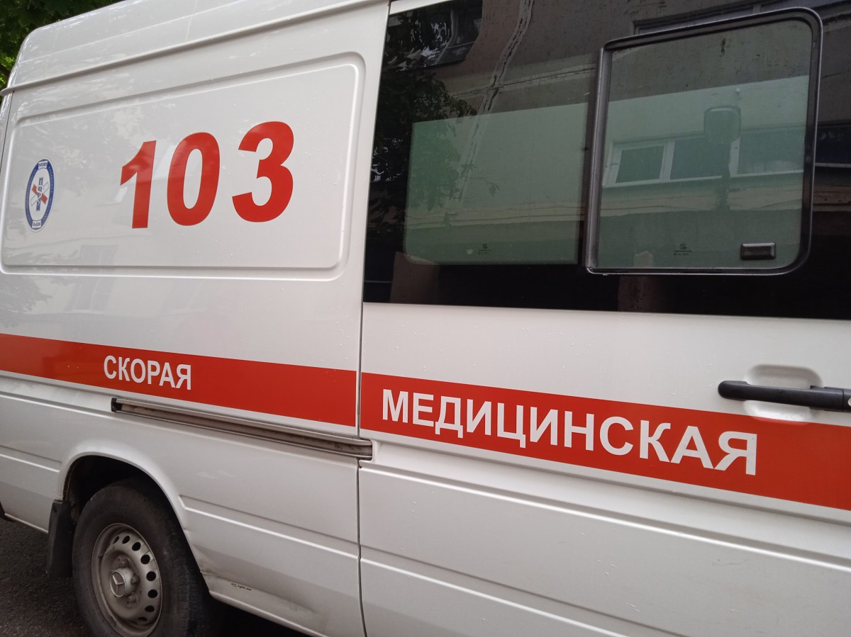 В Кисловодске произошел первый за сезон в России смертельный укус гадюки В Кисловодске произошел первый за сезон в России смертельный укус гадюки