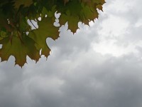 На Ставрополье синоптики обещают дожди с грозами На Ставрополье синоптики обещают дожди с грозами