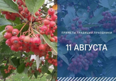 Приметы на 11 августа: что можно и нельзя делать на Рождество Николая Чудотворца