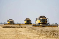 Урожай зерновых на Ставрополье превысил девять миллионов тонн Урожай зерновых на Ставрополье превысил девять миллионов тонн