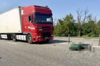 На Ставрополье погиб велосипедист На Ставрополье погиб велосипедист
