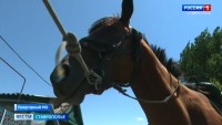 Еще один конный туристический маршрут откроют на Ставрополье