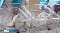 На Ставрополье за полгода появилось 94 пары двойняшек и одна тройня На Ставрополье за полгода появилось 94 пары двойняшек и одна тройня