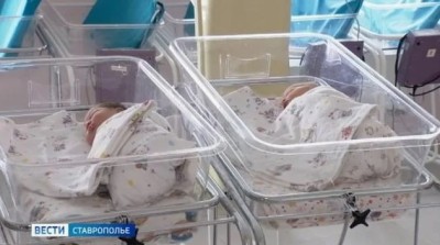 На Ставрополье за полгода появилось 94 пары двойняшек и одна тройня На Ставрополье за полгода появилось 94 пары двойняшек и одна тройня