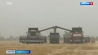 Уборочная страда на Ставрополье подходит к финалу