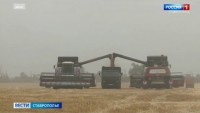 Ставрополье принимает чемпионат России по пахоте Ставрополье принимает чемпионат России по пахоте