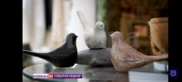 Фильм ГТРК "Ставрополье" признали одним из лучших на медиафоруме «Золотое кольцо России»