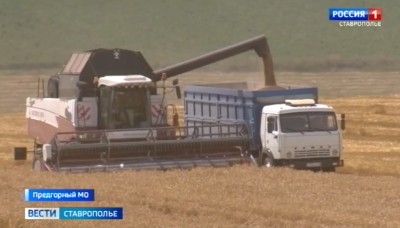 В Предгорье собрали рекордный урожай зерна