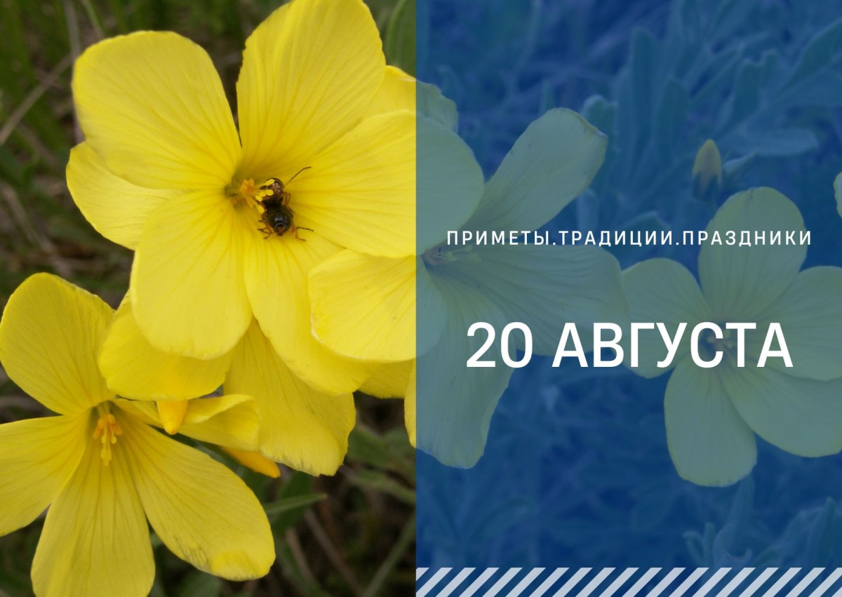 Приметы на 20 августа: что можно и нельзя делать в день Марины-Пимены Приметы на 20 августа: что можно и нельзя делать в день Марины-Пимены