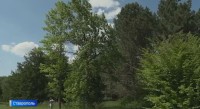 На Ставрополье продлены ограничения на пребывание в лесах На Ставрополье продлены ограничения на пребывание в лесах
