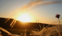 Погодные качели на Ставрополье снова начинают свой разбег Погодные качели на Ставрополье снова начинают свой разбег