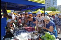 Ярмарки на Ставрополье становятся повседневными