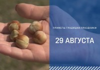 Приметы на 29 августа: что можно и нельзя делать на Ореховый Спас Приметы на 29 августа: что можно и нельзя делать на Ореховый Спас