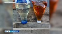 Желтый, красный, оранжевый: какого цвета бензина боится двигатель автомобиля? Желтый, красный, оранжевый: какого цвета бензина боится двигатель автомобиля?