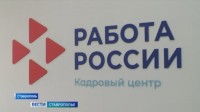 На Ставрополье названы самые востребованные профессии