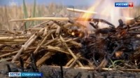 Чрезвычайная пожароопасность действует на Ставрополье