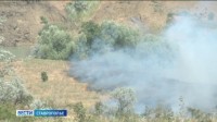 Пожары на Ставрополье происходят ежедневно: более 2 тысяч за месяц Пожары на Ставрополье происходят ежедневно: более 2 тысяч за месяц