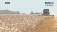 Аграрии Ставрополья получили 25 млрд рублей льготных кредитов Аграрии Ставрополья получили 25 млрд рублей льготных кредитов