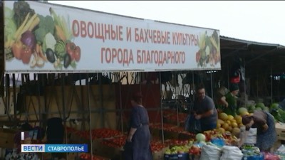 Рекордный урожай овощей вырастили в Благодарнеском округе Рекордный урожай овощей вырастили в Благодарнеском округе