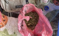 На Ставрополье у жителя станицы изъяли крупную партию растительного наркотика На Ставрополье у жителя станицы изъяли крупную партию растительного наркотика