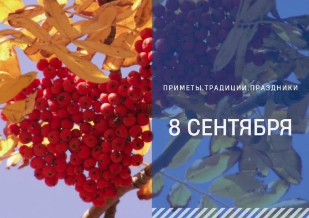 Приметы на 8 сентября: что нельзя делать в Натальин день, чтобы не потерять достаток Приметы на 8 сентября: что нельзя делать в Натальин день, чтобы не потерять достаток