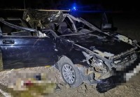 В Изобильненском округе лошадь стала причиной смертельного ДТП