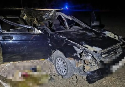 В Изобильненском округе лошадь стала причиной смертельного ДТП