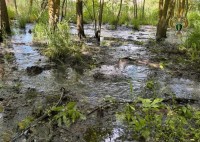 Многомиллионный ущерб нанесла коммунальная организация природе Ставрополья Многомиллионный ущерб нанесла коммунальная организация природе Ставрополья