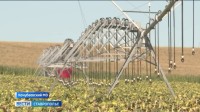 В Кочубеевском округе Ставрополья запустили новый оросительный комплекс: как всё работает