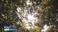 Как Ставрополье отметило День края