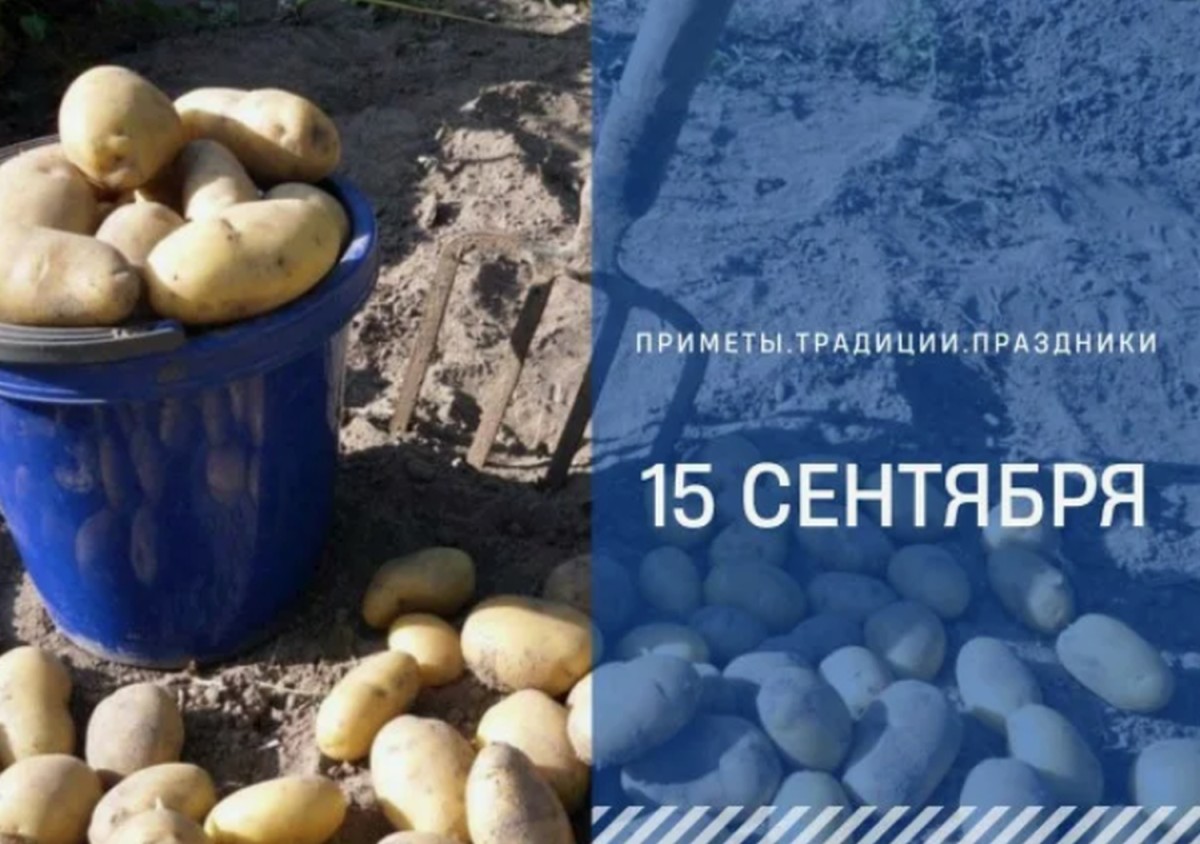 Приметы на 15 сентября: что можно и запрещено делать в день Мамонтия Овчарника Приметы на 15 сентября: что можно и запрещено делать в день Мамонтия Овчарника