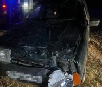 На Ставрополье водитель ВАЗа сбил корову: водитель и двое пассажиров попали в больницу На Ставрополье водитель ВАЗа сбил корову: водитель и двое пассажиров попали в больницу