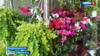 Международная выставка «Про озеленение и растения» стартовала в Минводах Международная выставка «Про озеленение и растения» стартовала в Минводах
