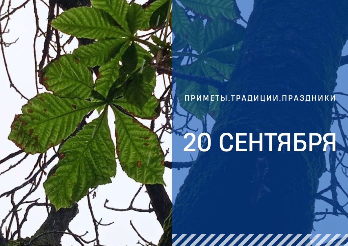 Приметы на 20 сентября: что можно и нельзя нельзя делать в Луков день Приметы на 20 сентября: что можно и нельзя нельзя делать в Луков день
