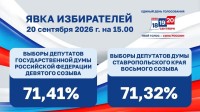 Явка на избирательных участках Ставрополья составила 71 процент